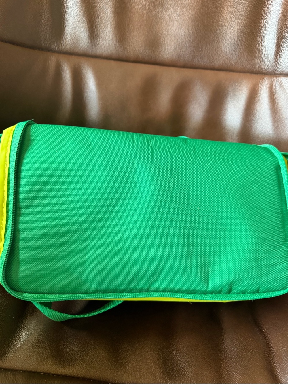 Trader Joe’s Limited Edition Emerald Insulated Mini Lunch Bag - Picture 7 of 12